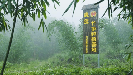 臭宝螺蛳粉 深耕供应链与品质把控赢得消费者青睐的投资分析