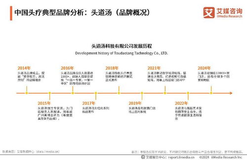 2024-2025年中国头皮疗养行业发展趋势分析与投资前景展望